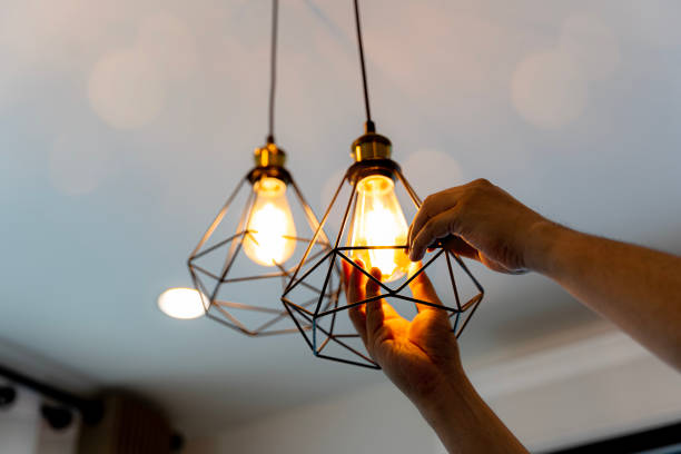 Best Home Electrical Repair  in Leona Valley, CA